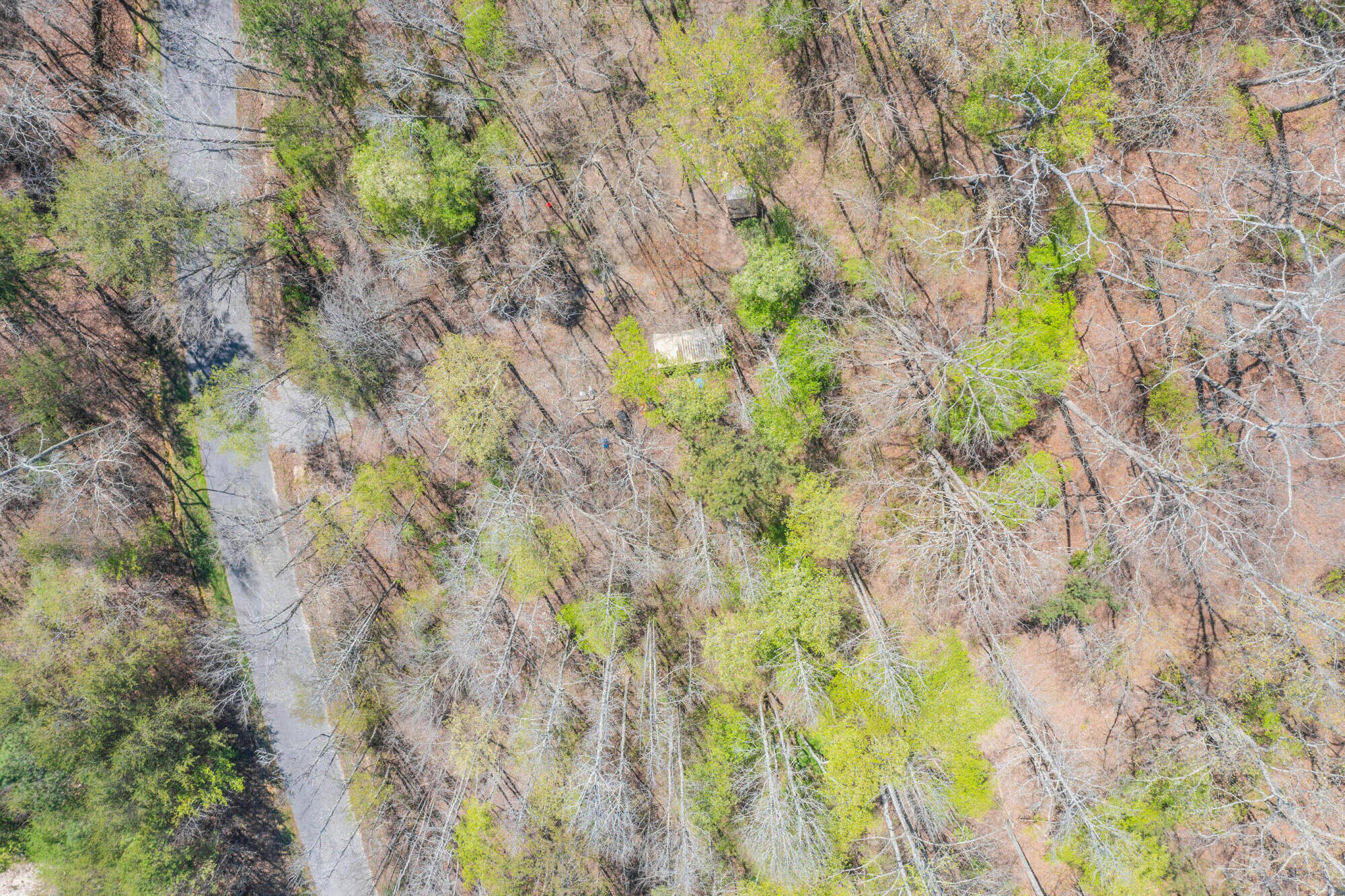 1140 West Schmitt Road Rossville, GA 30741 - Photo 9 of 17 1140 W Schmitt HD-10