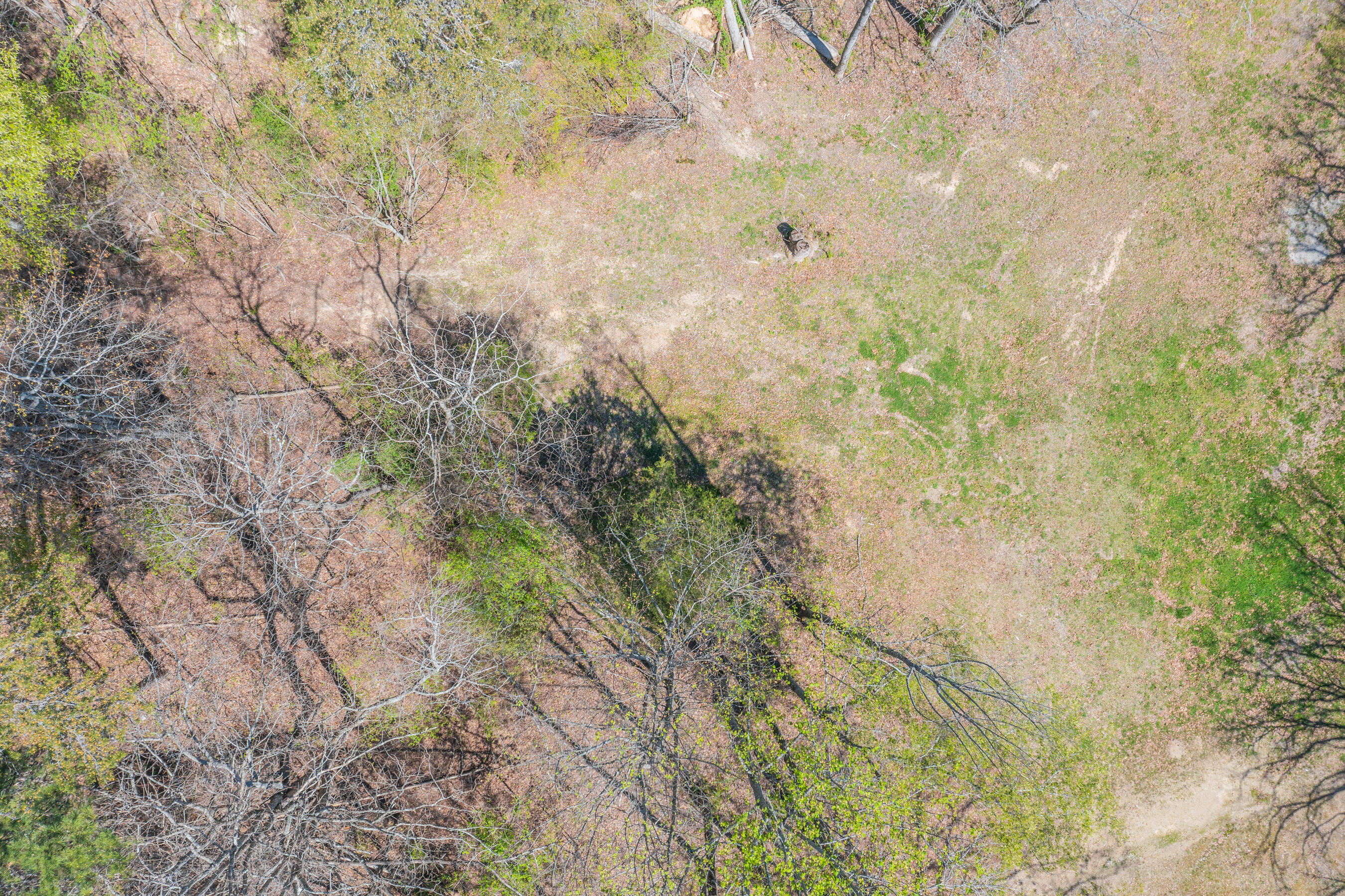 1140 West Schmitt Road Rossville, GA 30741 - Photo 10 of 17 1140 W Schmitt HD-14