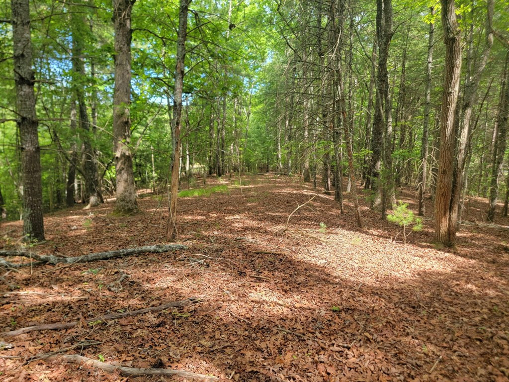 44 Sugar Maple Road Murphy, NC 28906 - Photo 3 of 11