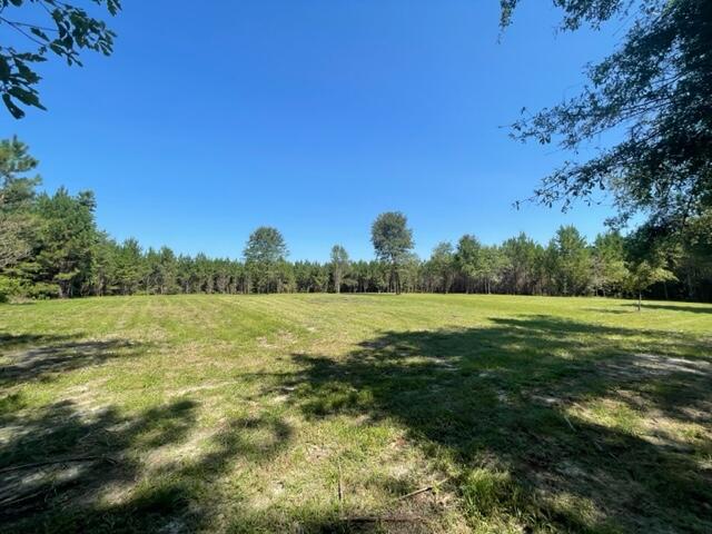 147 Oak Estates Way Ridgeville, SC 29472 - Photo 11 of 14 IMG_2276