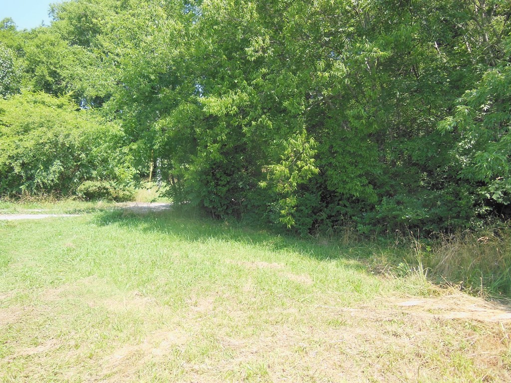 322 County Road Niota, TN 37826 - Photo 10 of 10 Gallery Image 10
