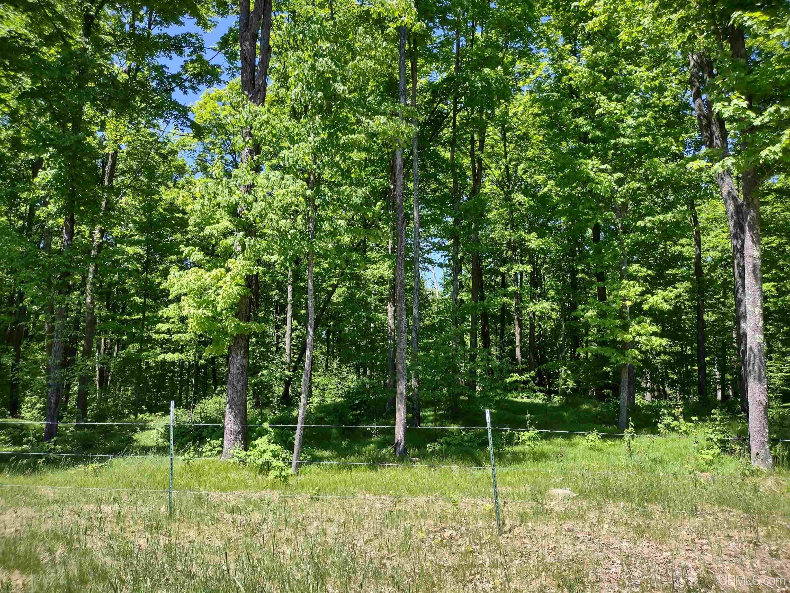 Lot 7 Mud Lake Road Florence, WI 54121 - Photo 4 of 4