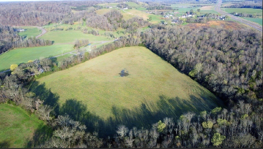 0 Golden Hollow Road Kelso, TN 37348 - Photo 11 of 11 a view of a yard with plants