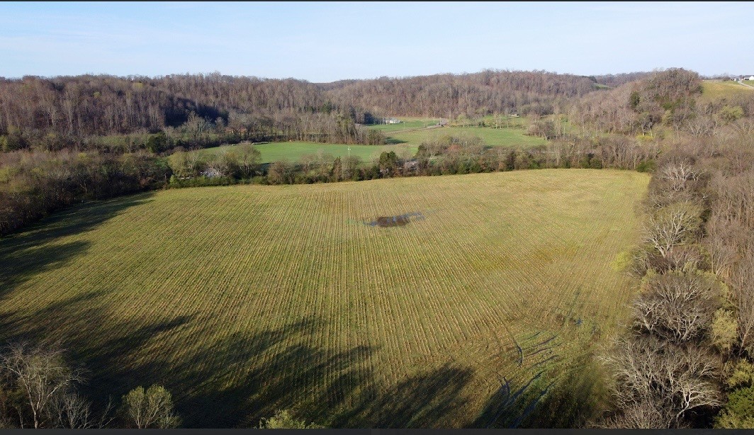 0 Golden Hollow Road Kelso, TN 37348 - Photo 9 of 11 a view of an outdoor space and mountains