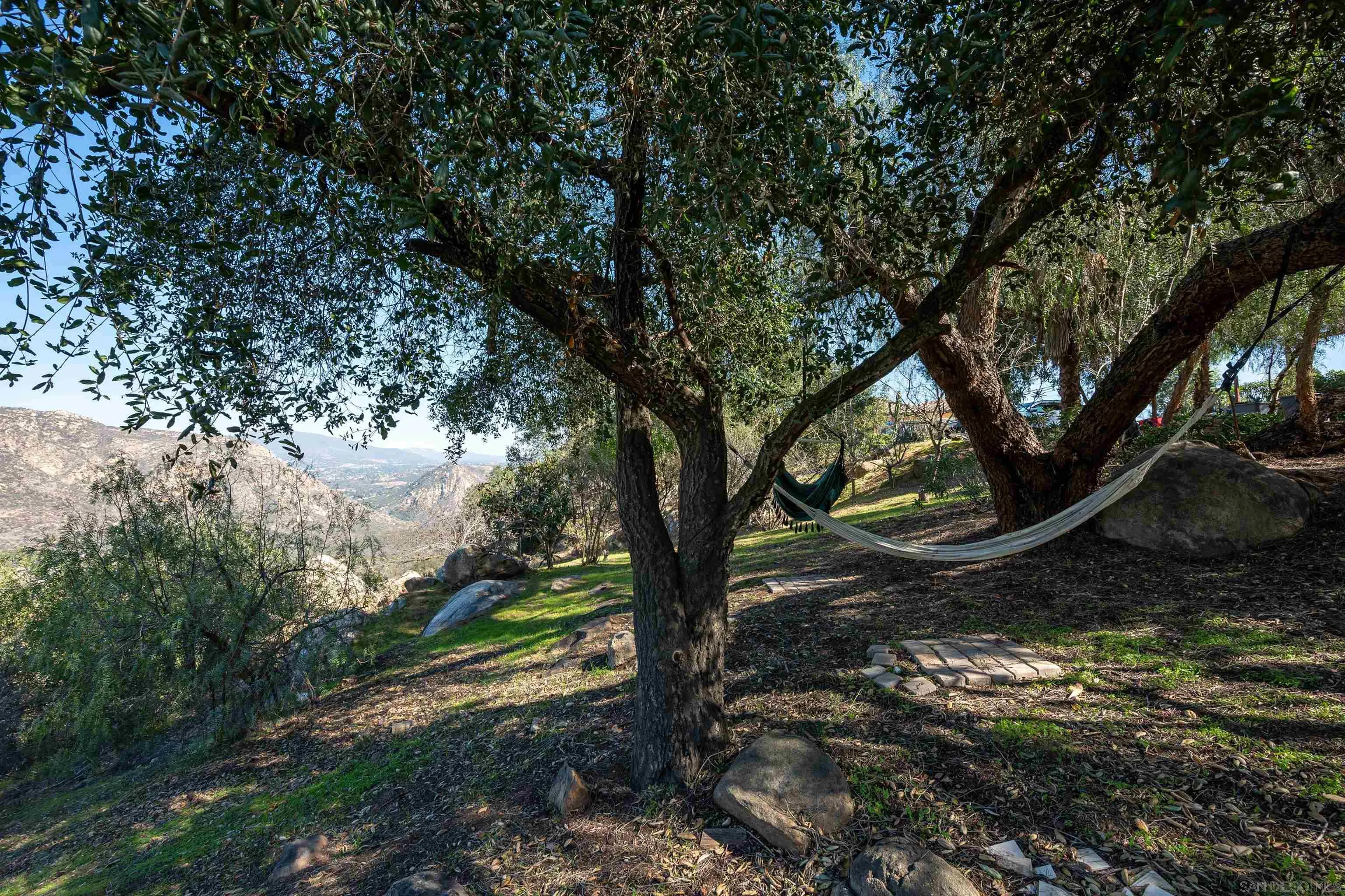 1152 Stoneridge Road El Cajon, CA 92021 - Photo 47 of 71 a view of a forest with trees
