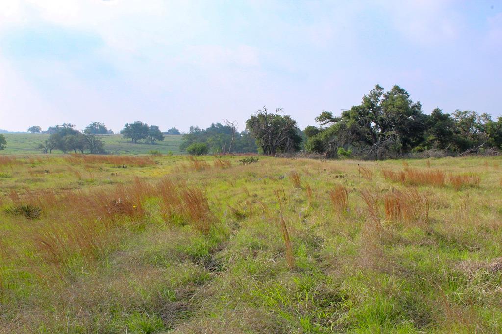 a view of a lake from a yard