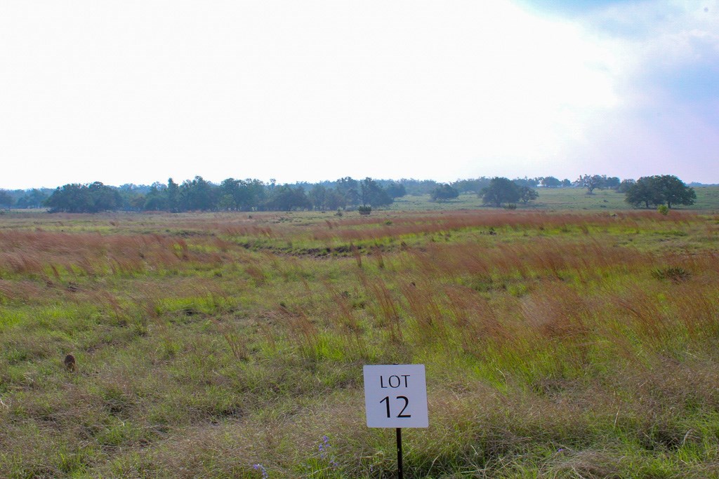 299 Apache Trace Northwest, Unit 12 Harper, TX 78631 - Photo 2 of 2 a view of a lake and mountain view