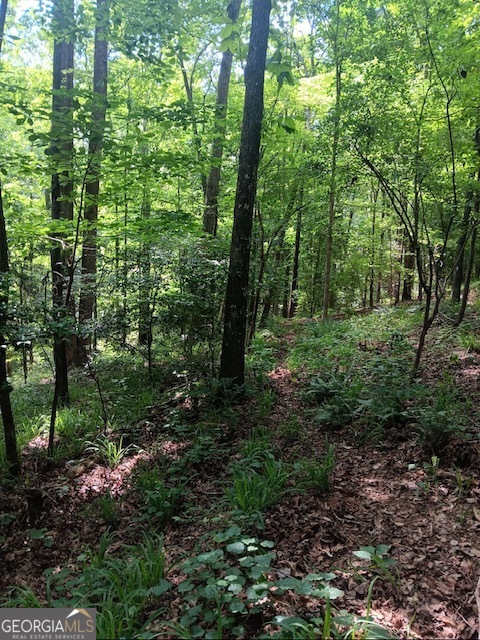0 Pulliam Mill Road Dewy Rose, GA 30634 - Photo 10 of 13