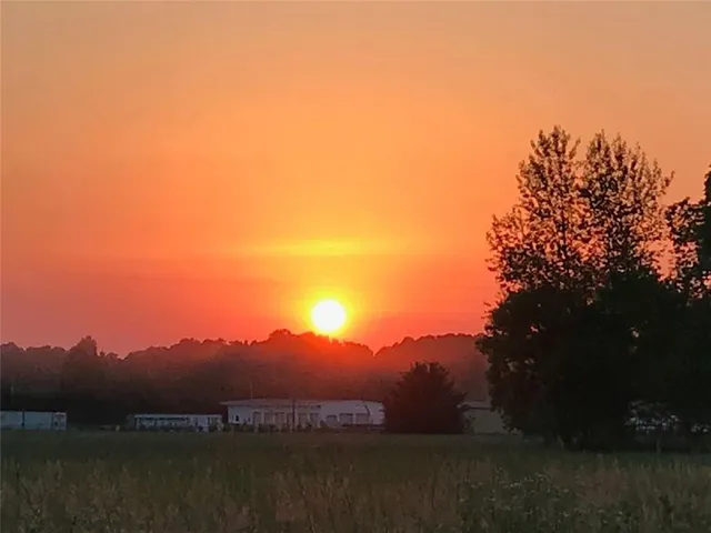 a view of a green field with lots of bushes