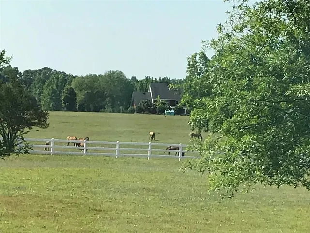 a view of a lake from a yard