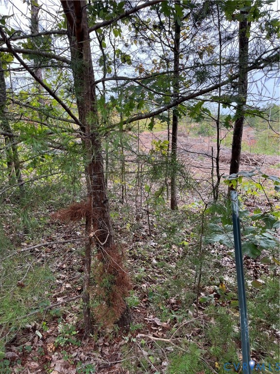 28 Aspen Grove Road Farmville, VA 23901 - Photo 4 of 8 a view of outdoor space