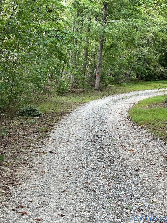 28 Aspen Grove Road Farmville, VA 23901 - Photo 6 of 8 a view of a yard with plants and trees