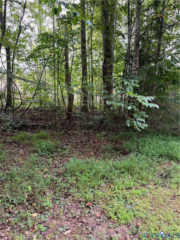 28 Aspen Grove Road Farmville, VA 23901 - Photo 7 of 8 a view of outdoor space and green space