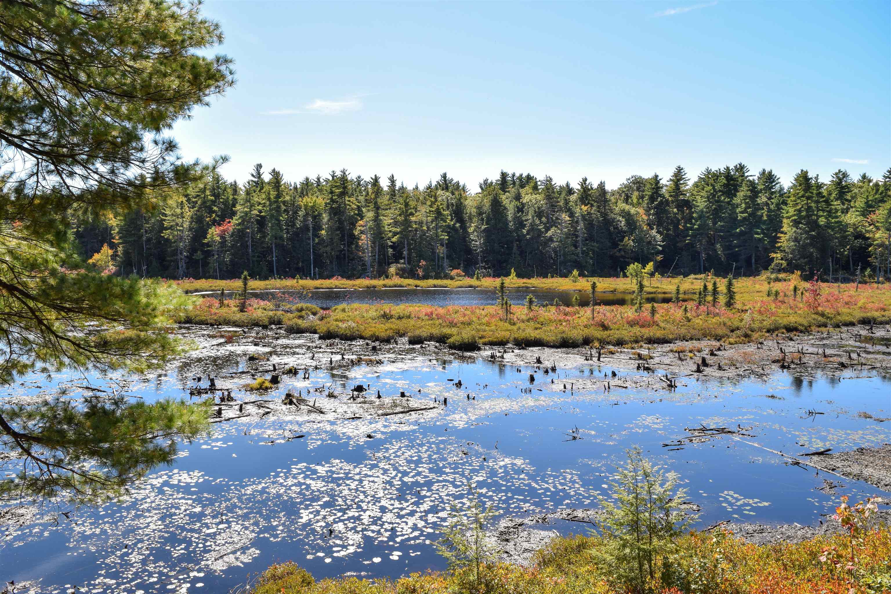 129 Griffin Road Deerfield, NH 03037 - Photo 3 of 26
