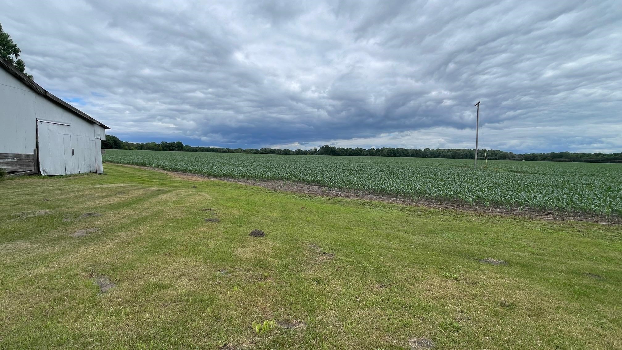 6341 Blackmer Road Carson City, MI 48811 - Photo 57 of 63