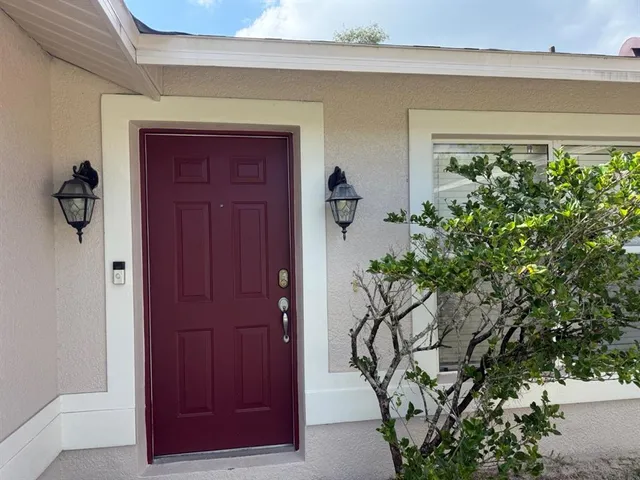 a potted plant is sitting in front of a door