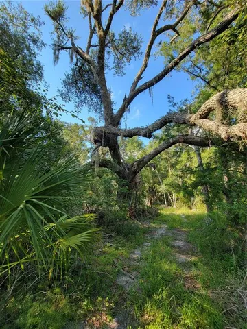 a backyard of a building with large trees