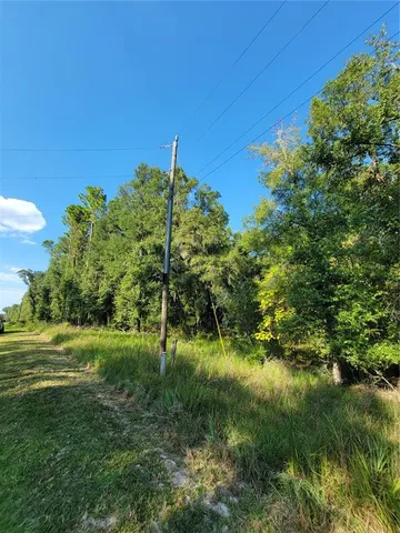 a view of a lush green space
