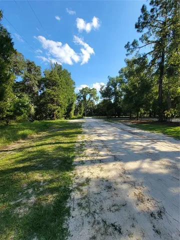 a view of a trees in a yard