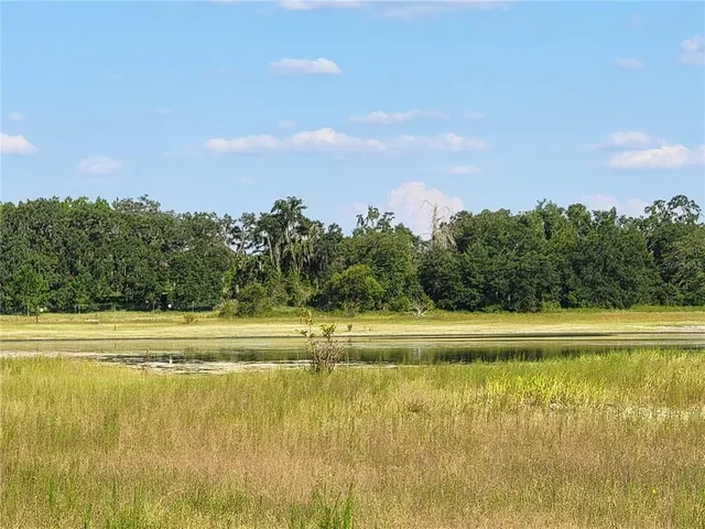 a view of an ocean and beach