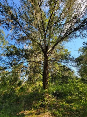 a backyard of a building
