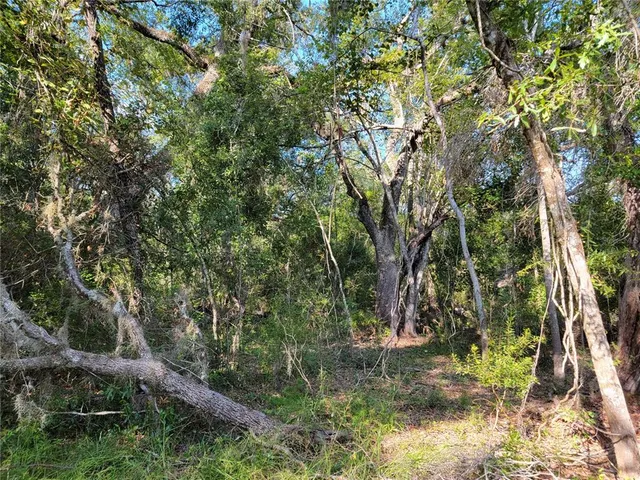 a backyard of a house with lots of trees