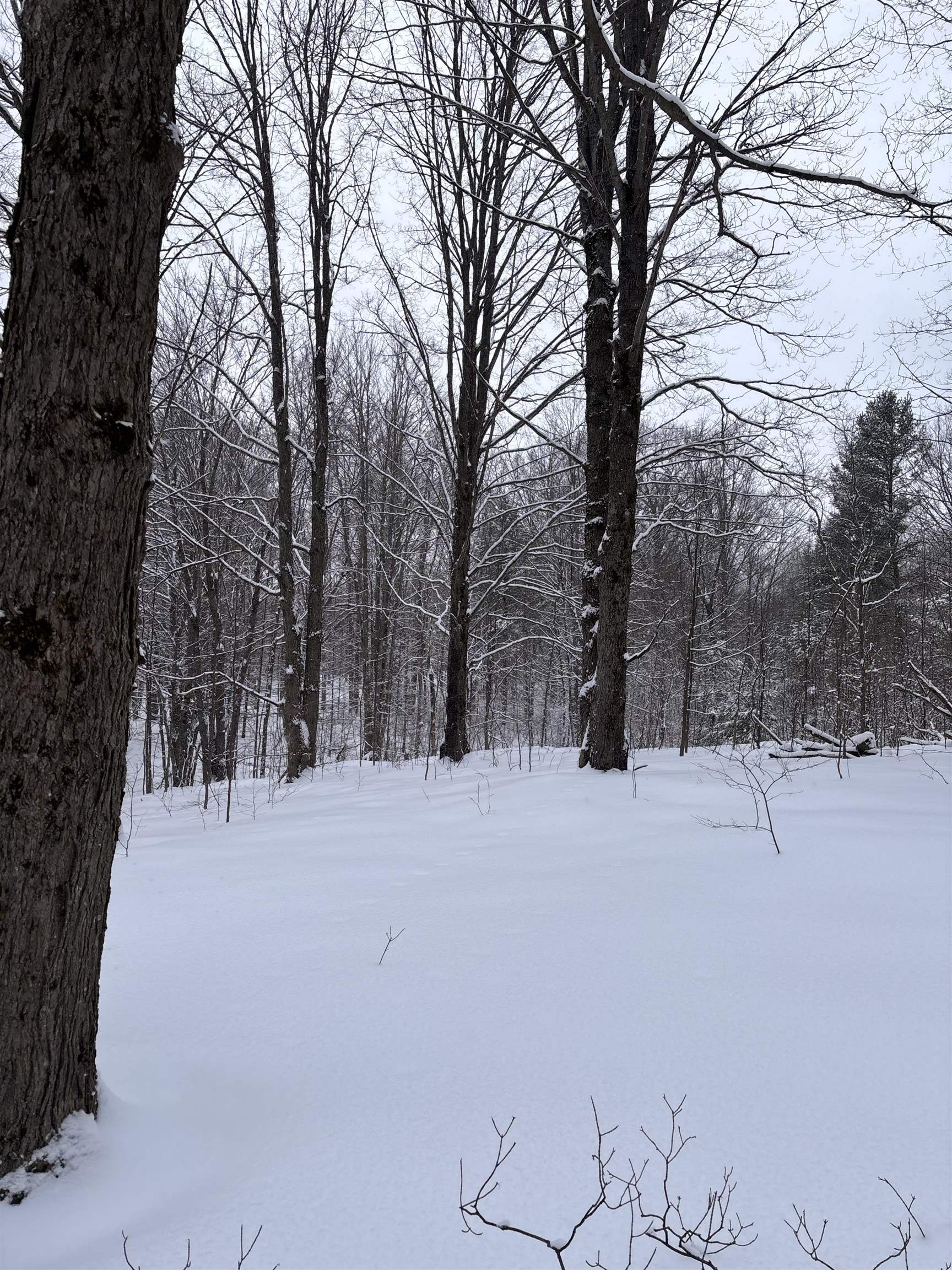 10 Lake Louise Road Interlochen, MI 49643 - Photo 4 of 11