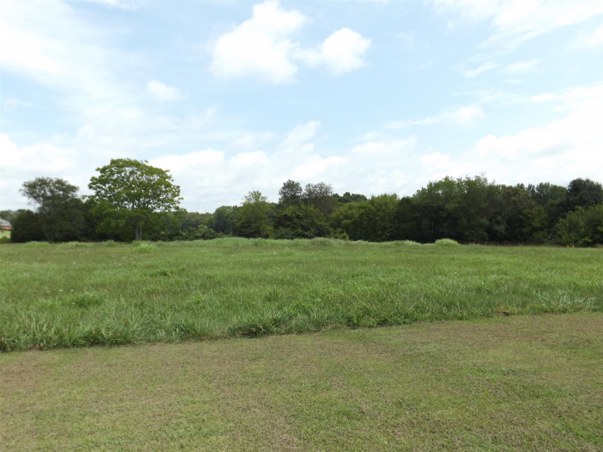 1600 Mud Creek Road Morrison, TN 37357 - Photo 6 of 28 a view of a grassy field with trees