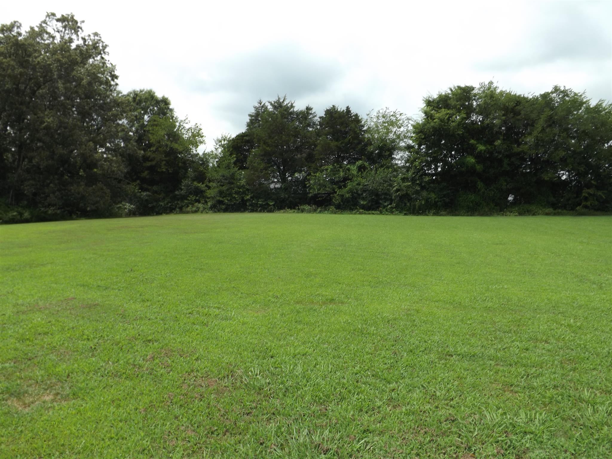 1600 Mud Creek Road Morrison, TN 37357 - Photo 7 of 28 a view of field and trees in the background