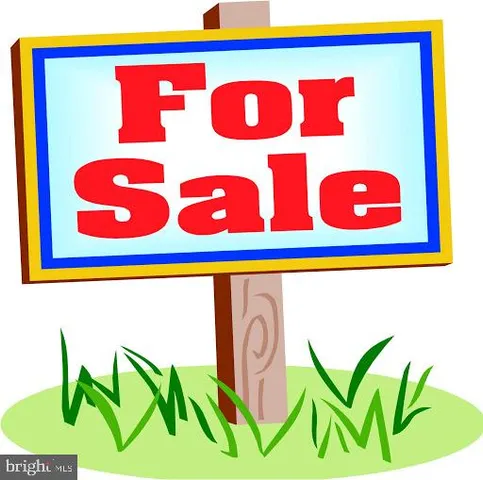 a close up of a bunch of flowers