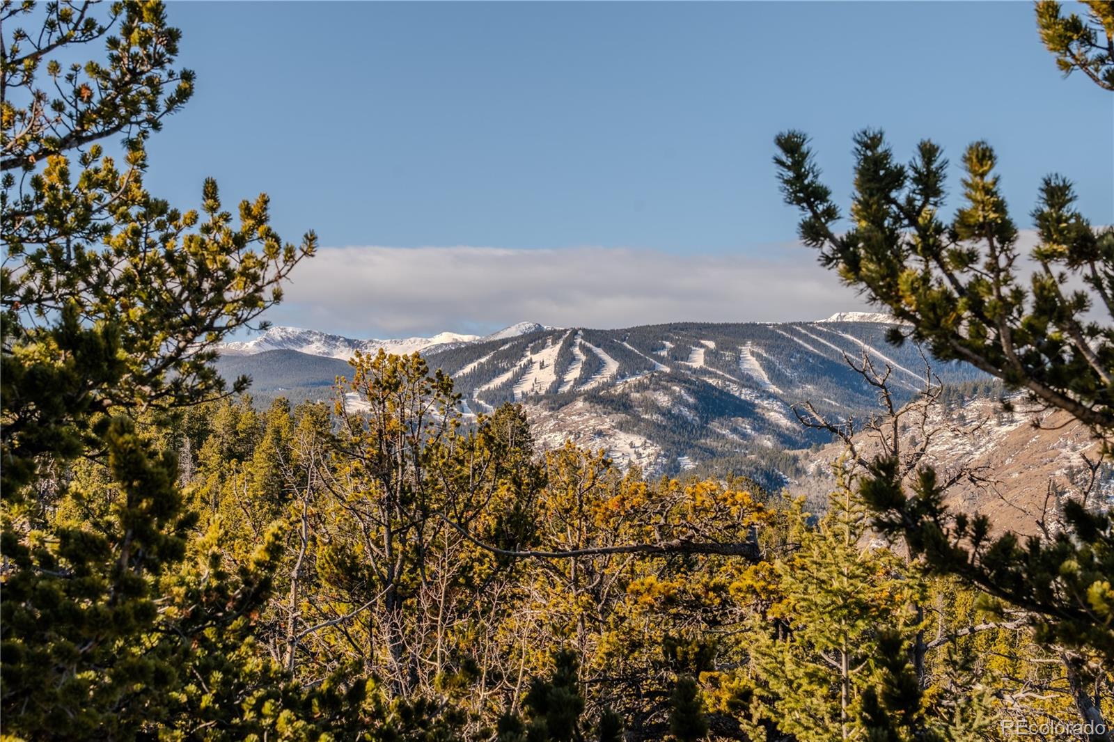90 Peakview Road Nederland, CO 80466 - Photo 14 of 35 Gallery Image 14