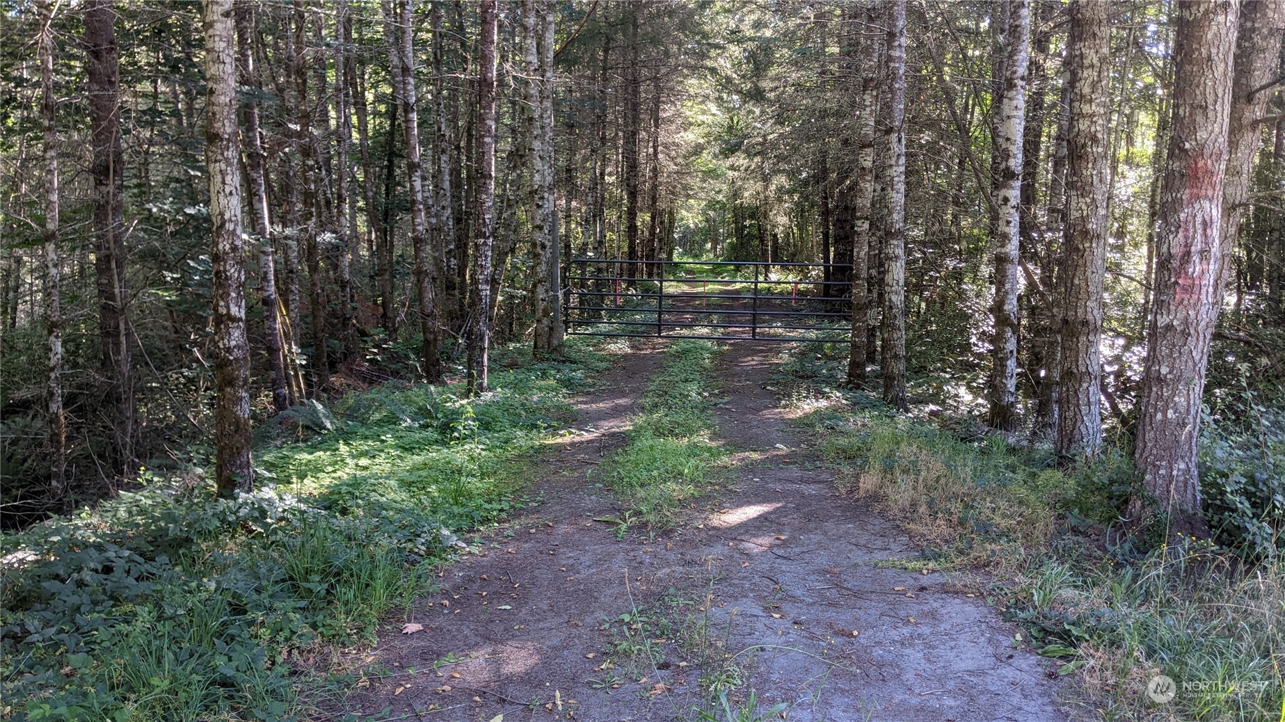 1880 Gardiner Beach Road Sequim, WA 98382 - Photo 1 of 9 Gallery Image 1
