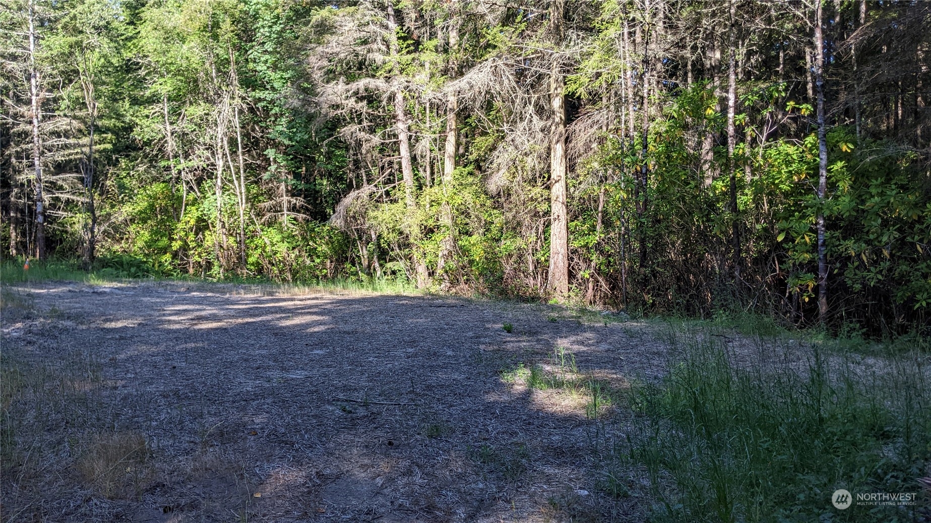 1880 Gardiner Beach Road Sequim, WA 98382 - Photo 4 of 9 Gallery Image 4