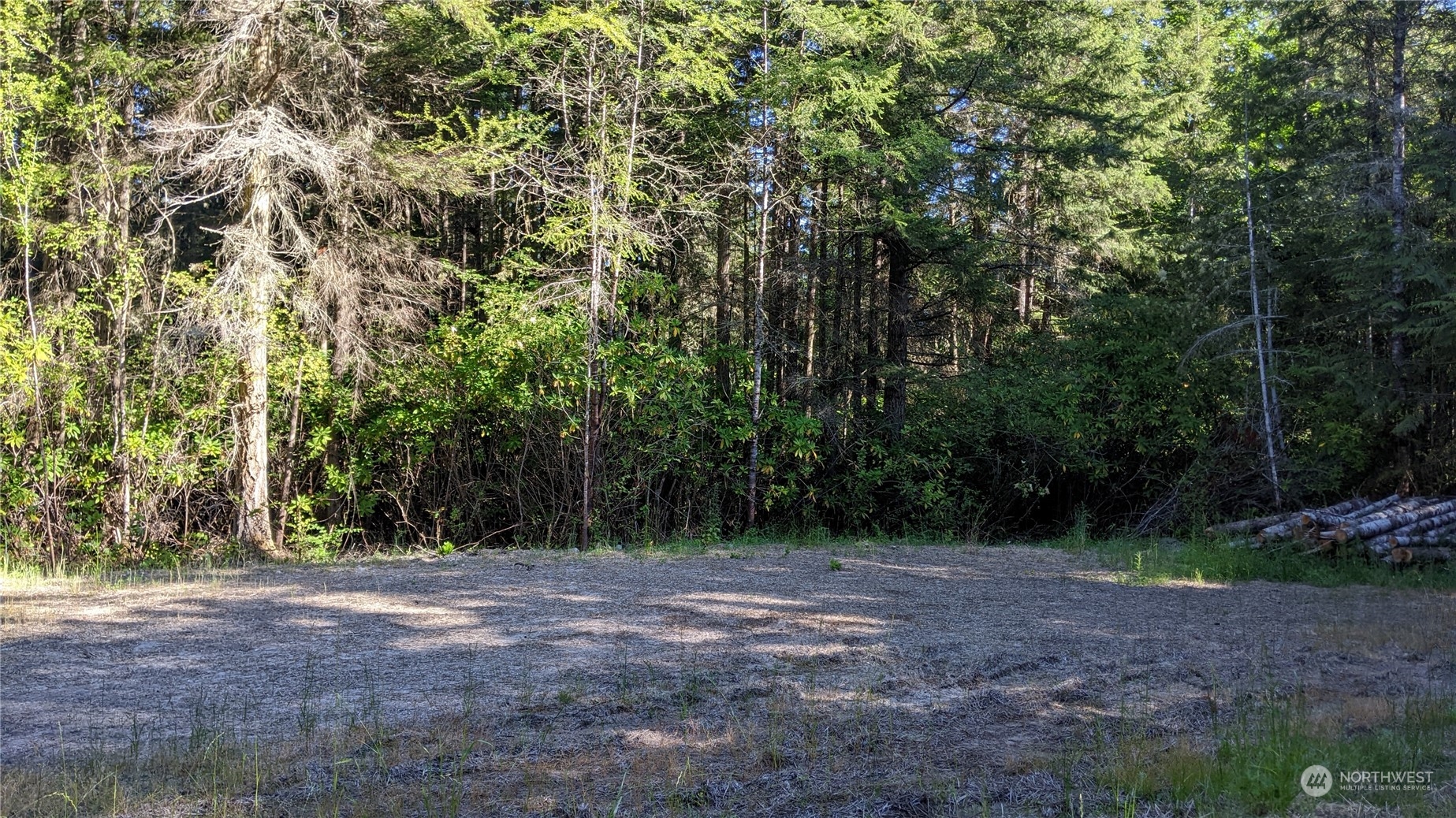 1880 Gardiner Beach Road Sequim, WA 98382 - Photo 6 of 9 Gallery Image 6