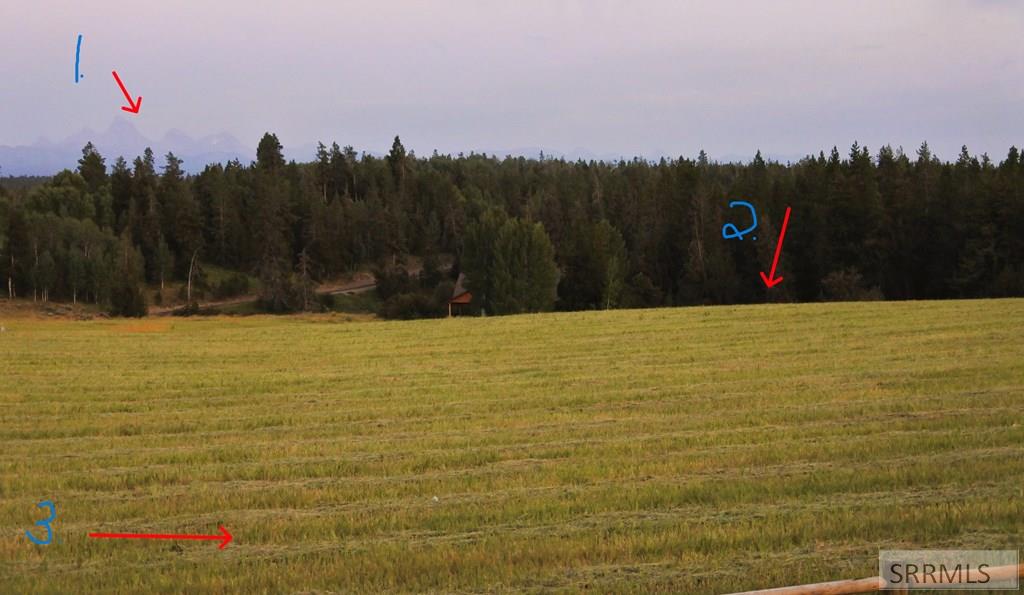 1650 Shadow Loop Island Park Ashton, ID 83420 - Photo 13 of 32 1. Teton views 2. Lot 3. Community open area with