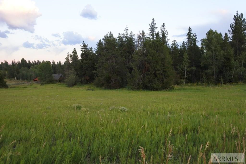 1650 Shadow Loop Island Park Ashton, ID 83420 - Photo 10 of 32 Looking South from the Road