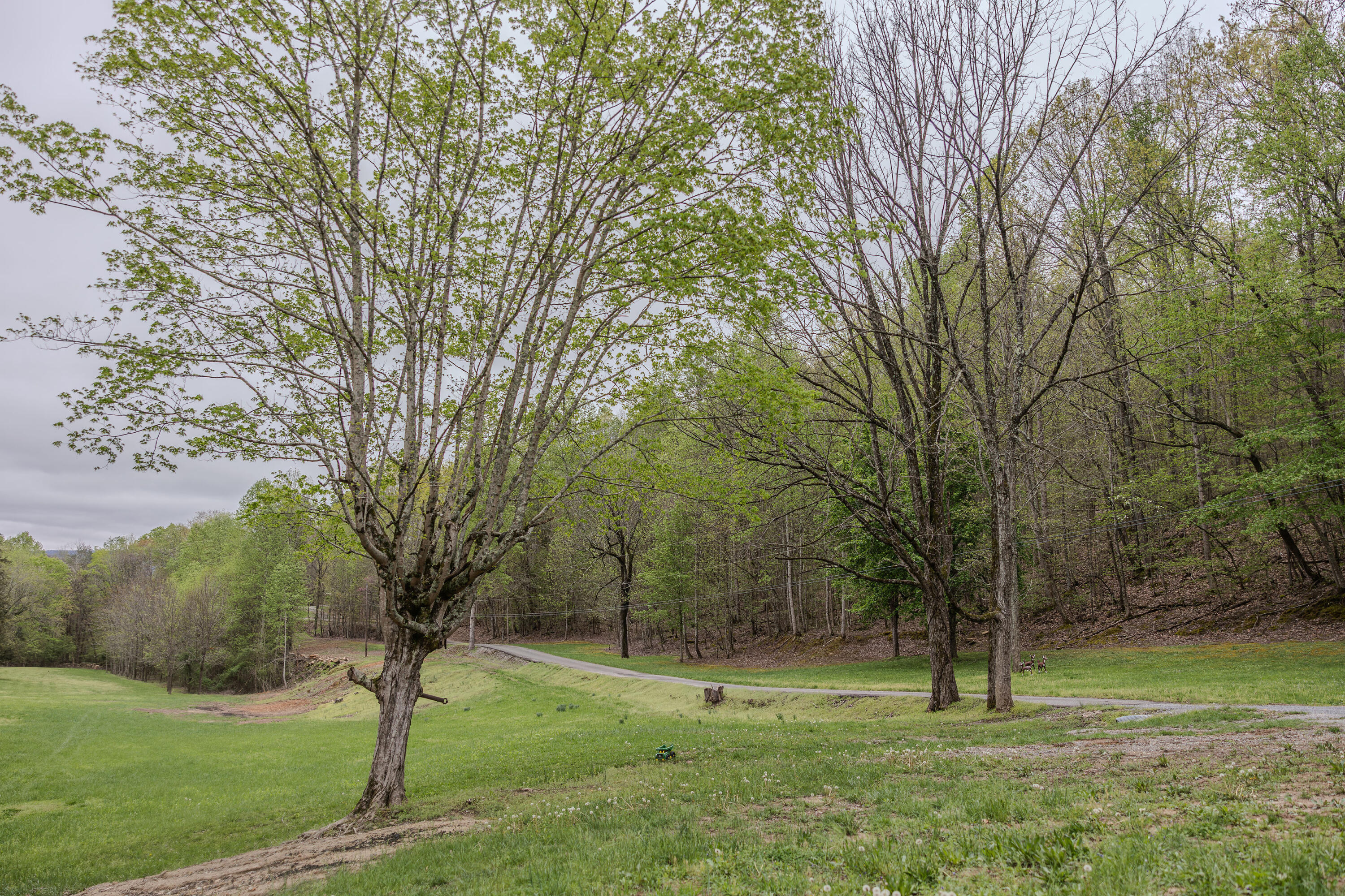 846 Bailey Road Dunlap, TN 37327 - Photo 6 of 32 IMG_8820
