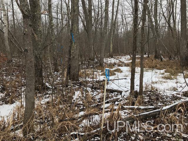 V-wi Seefeldt Road Wausaukee, WI 54177 - Photo 5 of 15