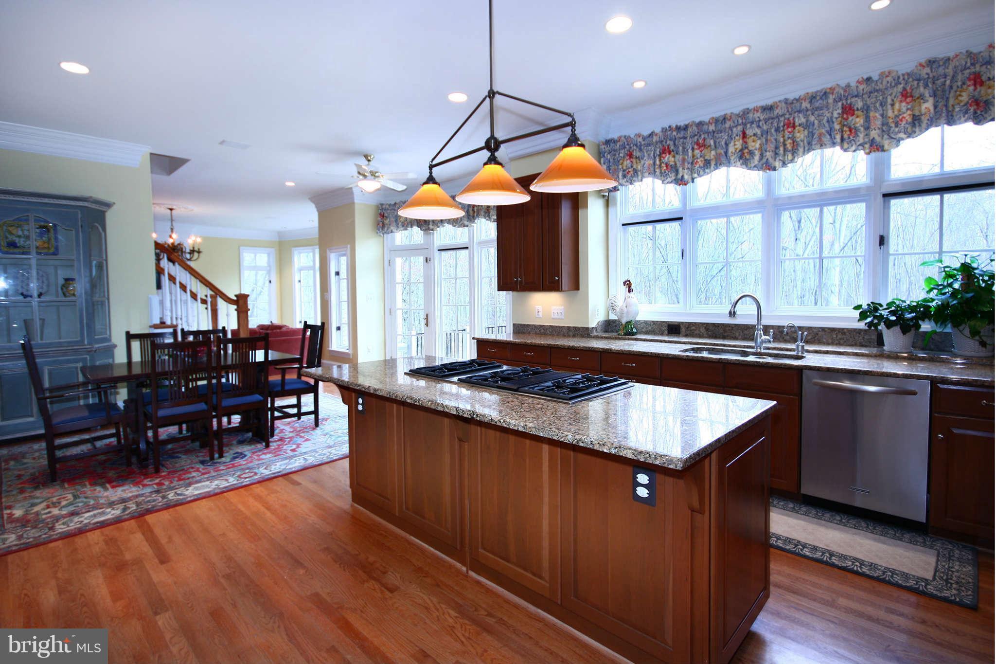 443 Walker Road Great Falls, VA 22066 - Photo 5 of 30 Kitchen