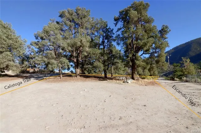 a view of a park with large trees