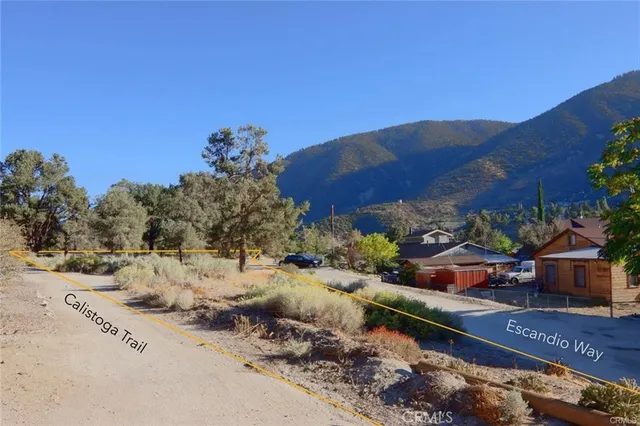 a view of road with large trees