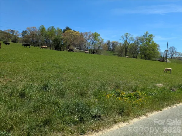 a view of a grassy field with trees in the background