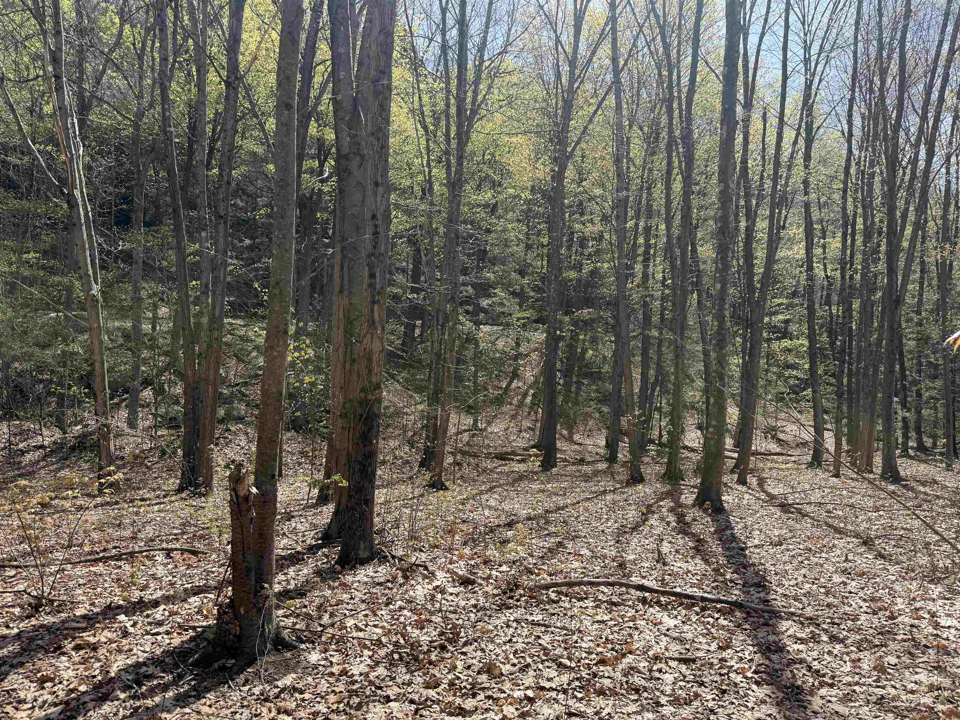 244 Mountain Road Chesterfield, NH 03466 - Photo 11 of 11