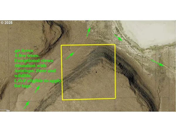 $30,000 | Plush Adel Road, Unit 3400, Plush, OR 97637