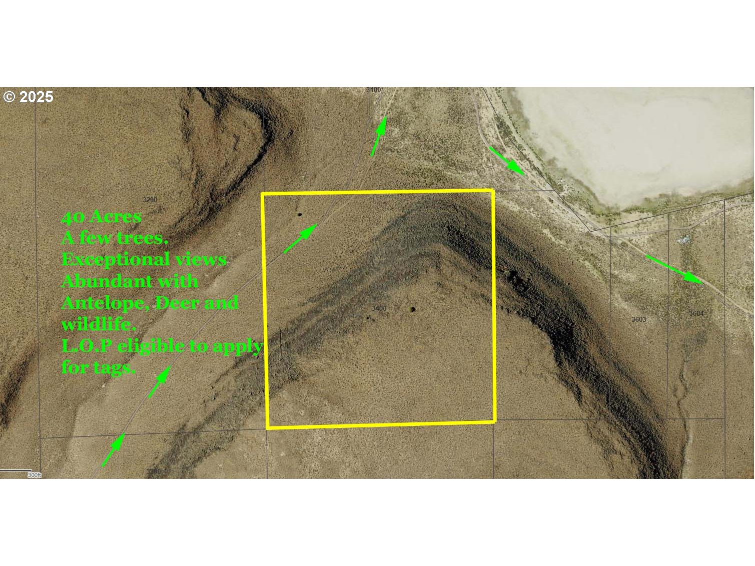 Plush Adel Road, Unit 3400 Plush, OR 97637 - Photo 3 of 9 a black and white photo of a tennis court