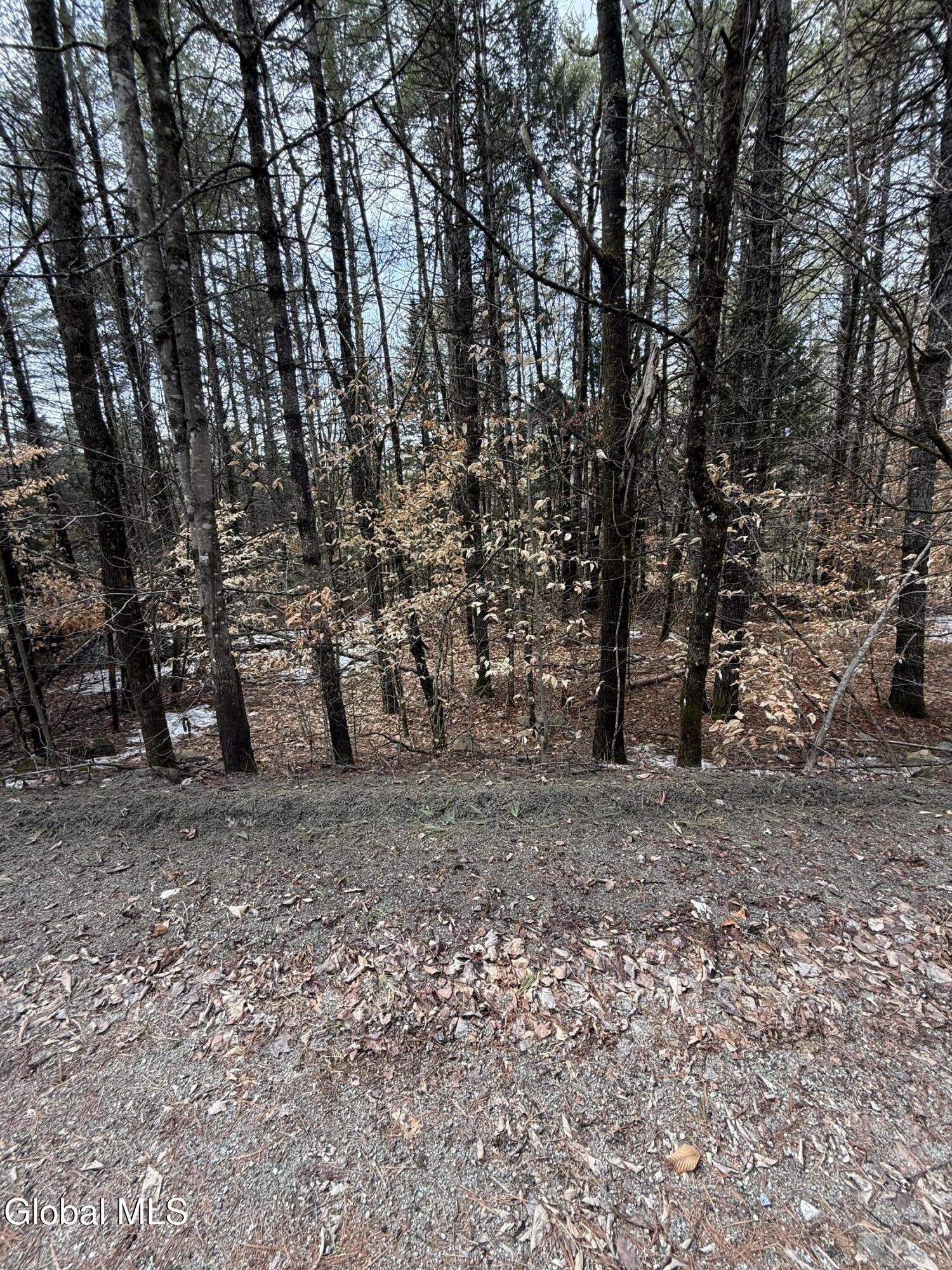 L10 Stone Bridge Road Pottersville, NY 12860 - Photo 33 of 38 Road Into Lot (2)