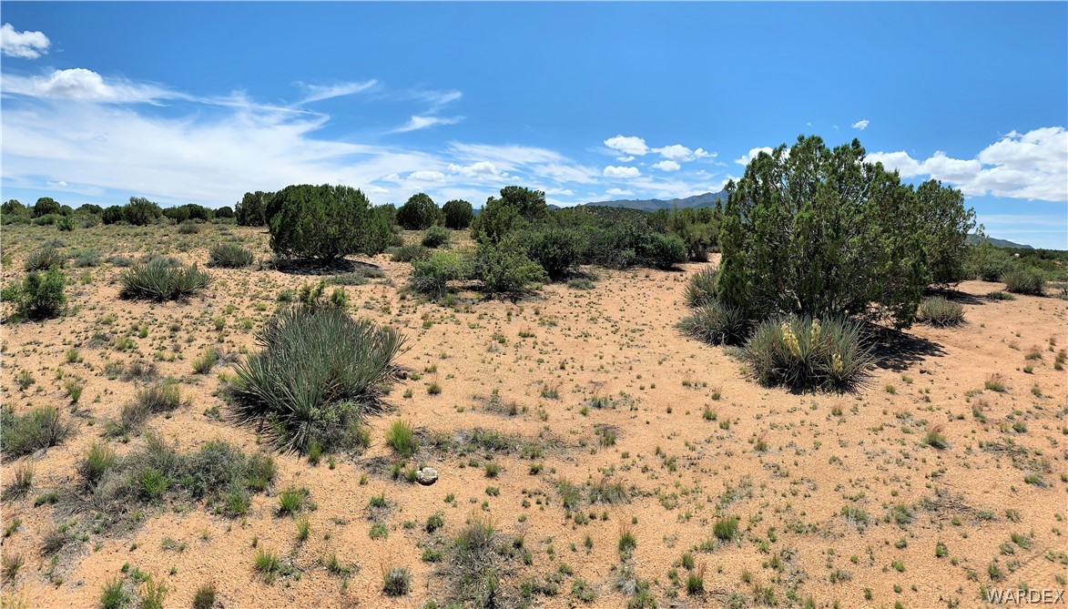0 Jc Ranch Kingman, AZ 86401 - Photo 11 of 17 Gallery Image 11