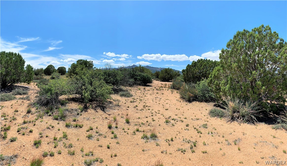 0 Jc Ranch Kingman, AZ 86401 - Photo 14 of 17 Gallery Image 14