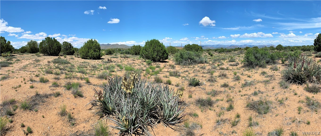 0 Jc Ranch Kingman, AZ 86401 - Photo 15 of 17 Gallery Image 15