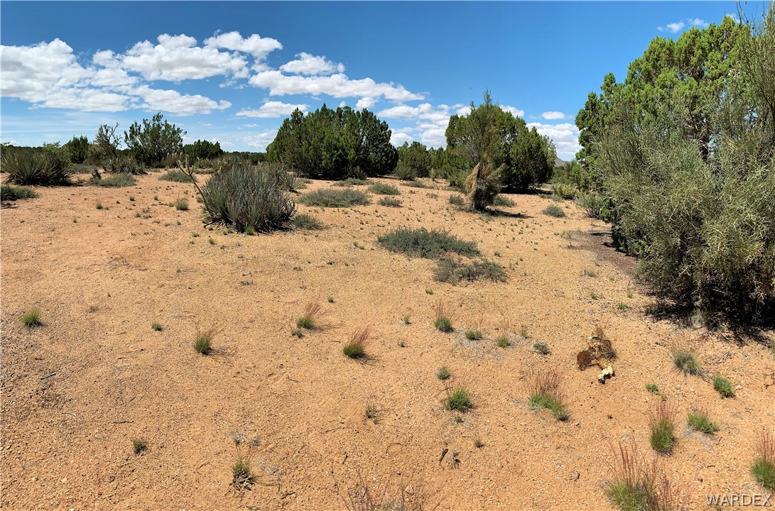 0 Jc Ranch Kingman, AZ 86401 - Photo 16 of 17 Gallery Image 16